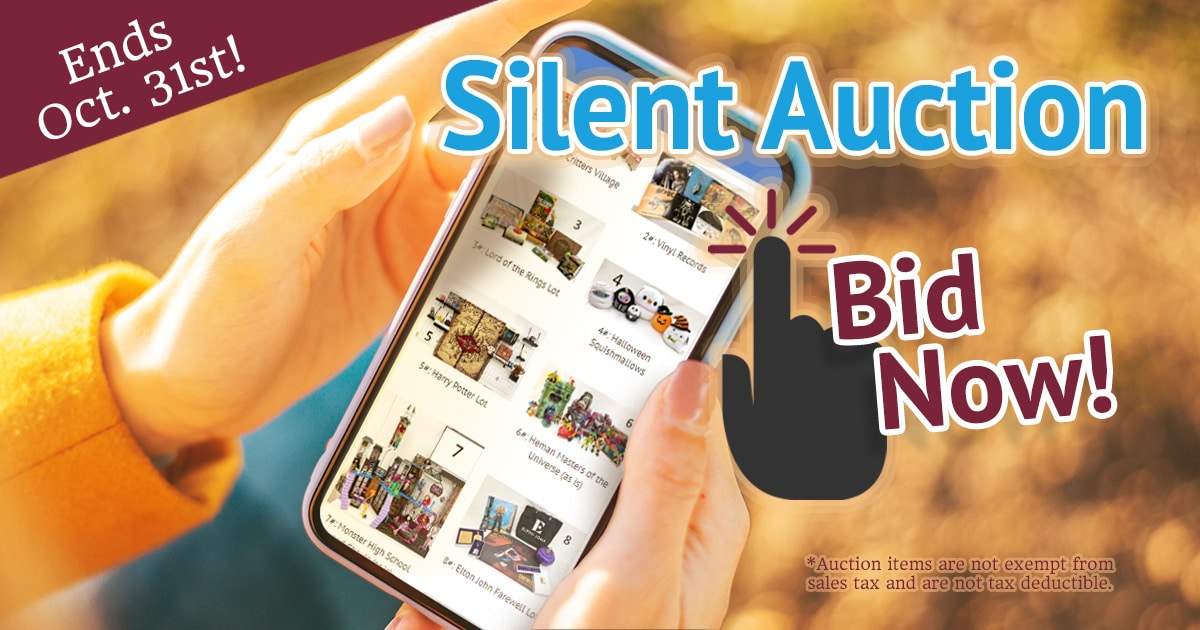 Online Silent Auction Items Bid Online