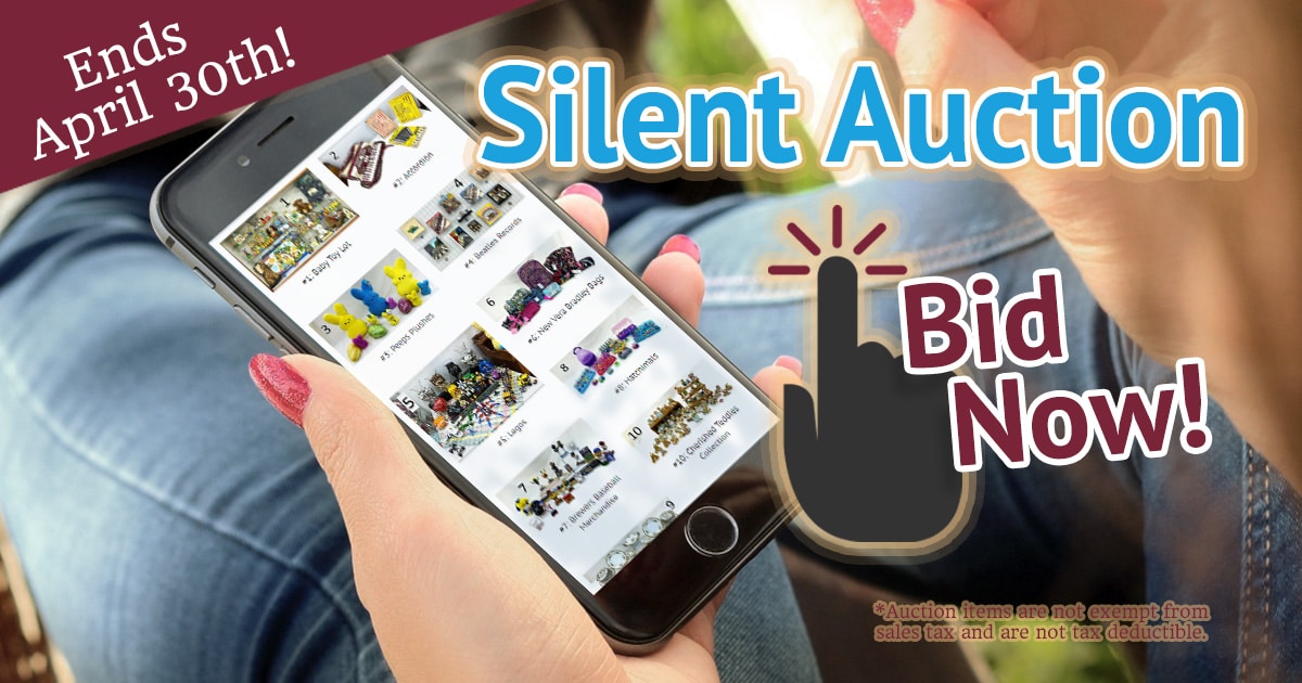 Online Silent Auction Items: Bid Online | Charity Auction