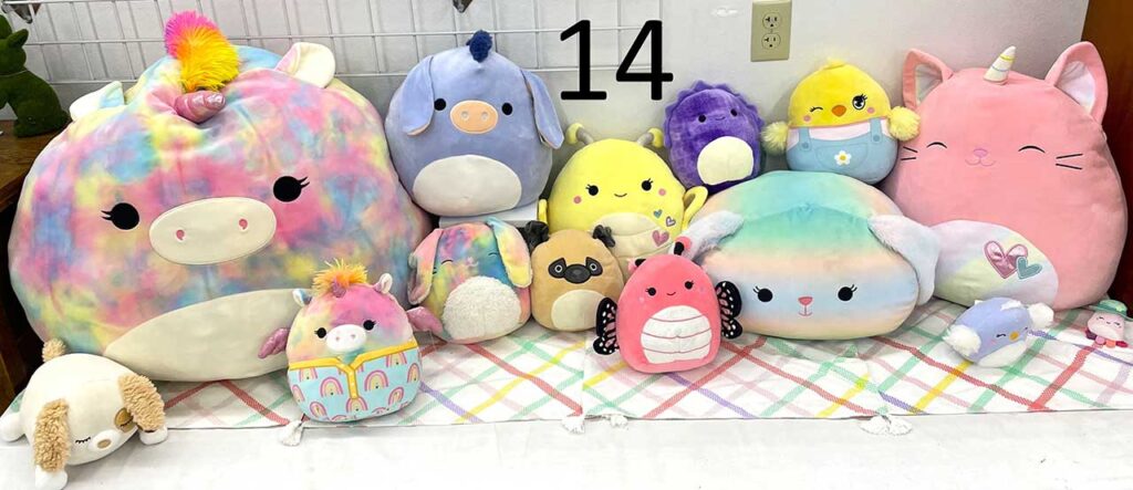 Squishmallows.