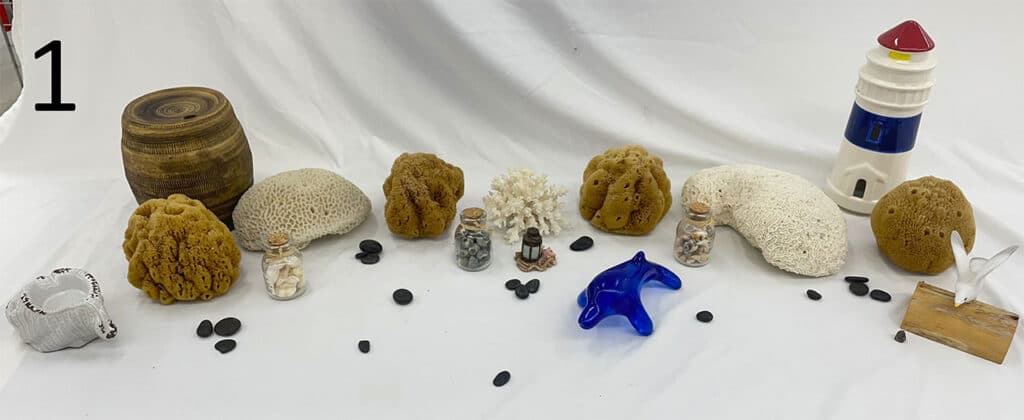 Sea shells and coral.