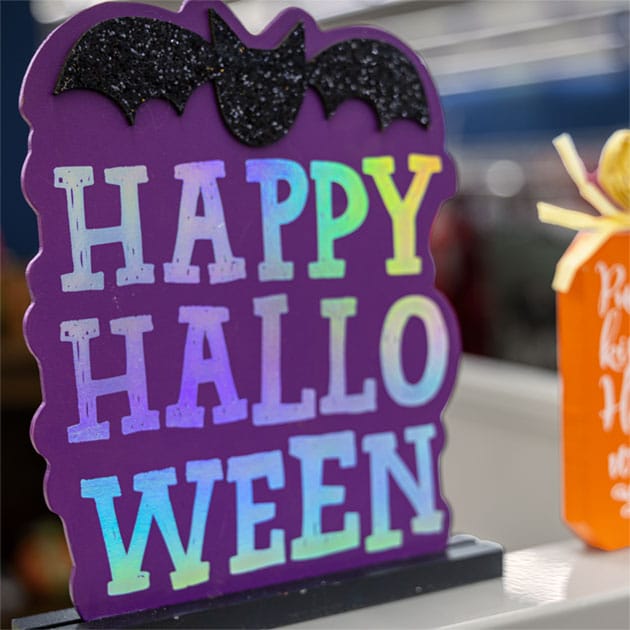 St. Vincent de Paul Fond du Lac County 2 SVDP Fond-du-Lac Trick or Treat (Pick a Discount) Halloween Sale